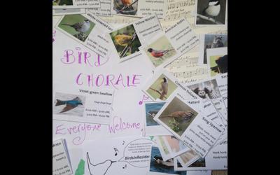 6birds in residence